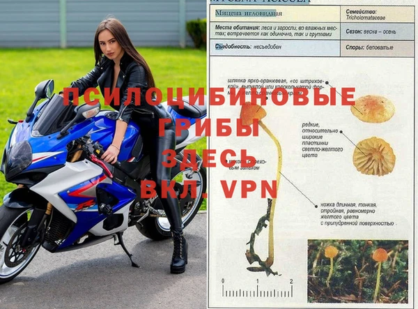амфетамин Магас