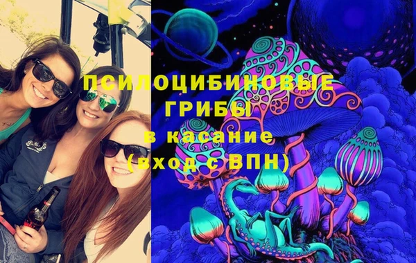 крисы Медвежьегорск